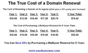 The True Cost of a Domain Renewal | SSS for Success